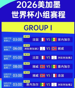 美洲杯足球赛激战